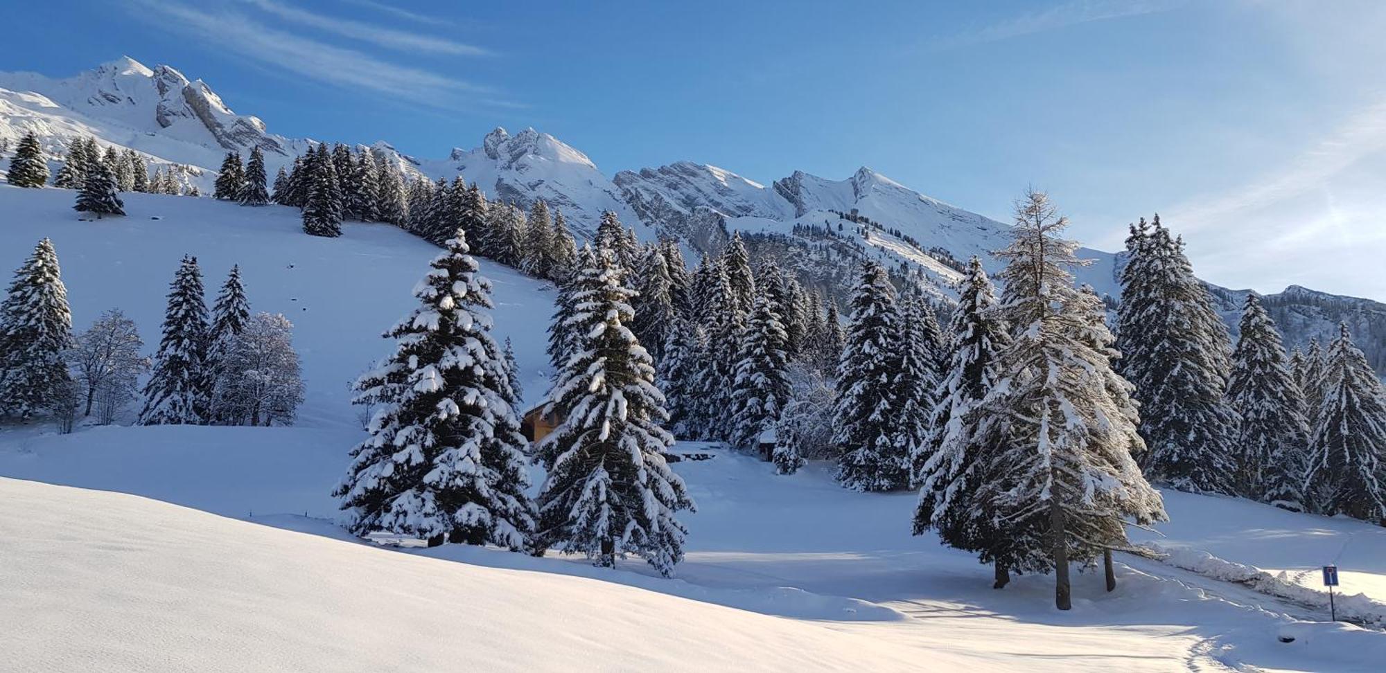 Appartement Cosy Face Aux Aravis Le Grand-Bornand Zewnętrze zdjęcie