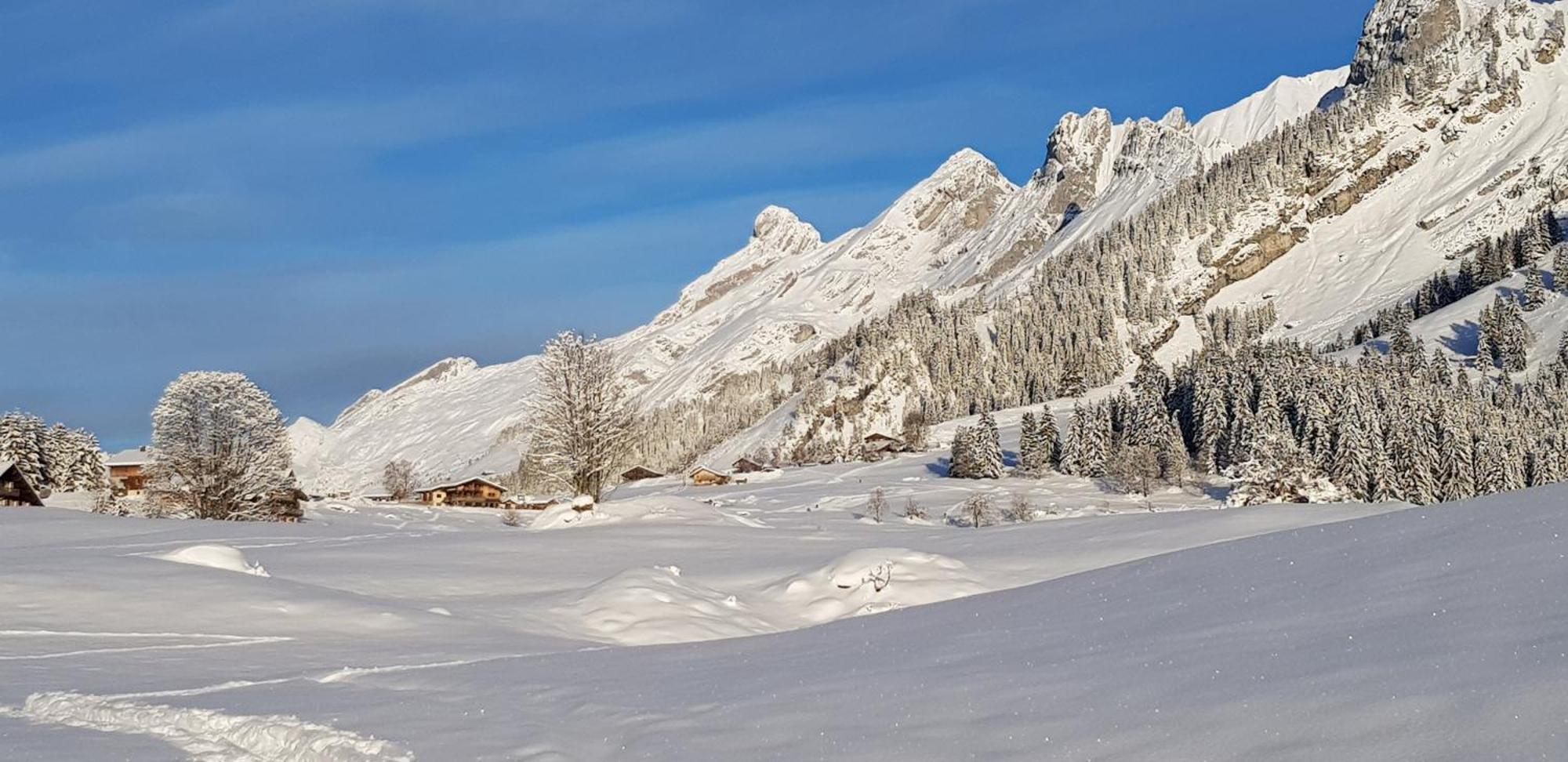 Appartement Cosy Face Aux Aravis Le Grand-Bornand Zewnętrze zdjęcie